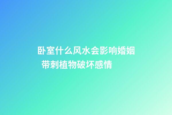 卧室什么风水会影响婚姻  带刺植物破坏感情